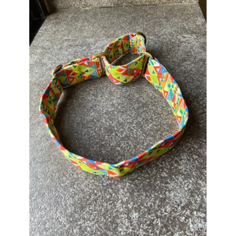 FurBuddies Viva La Vibrance Martingale Collar for Dogs