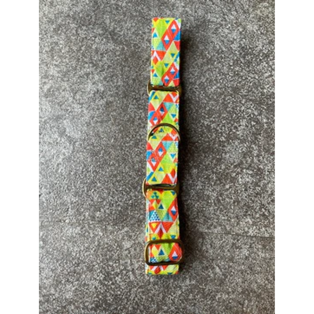 FurBuddies Viva La Vibrance Martingale Collar for Dogs