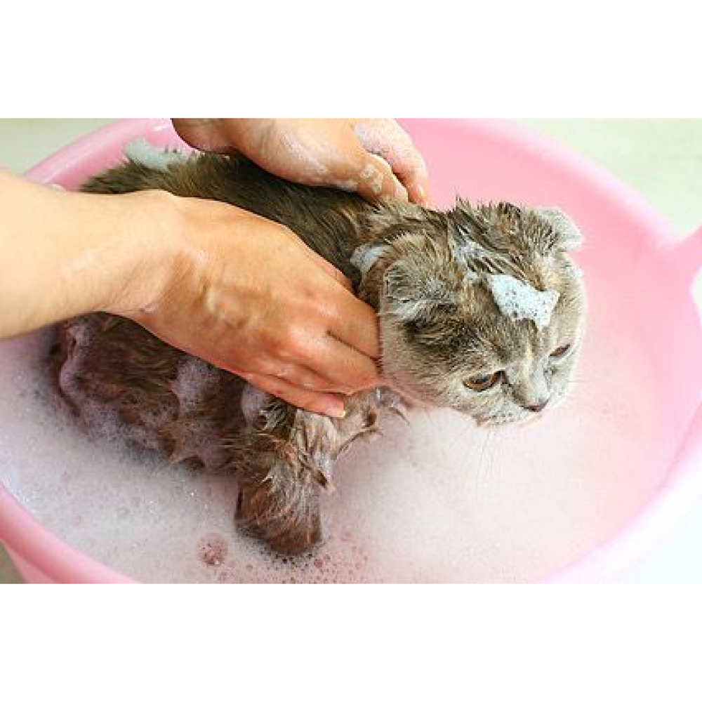 Glenand Shampoo for Pets