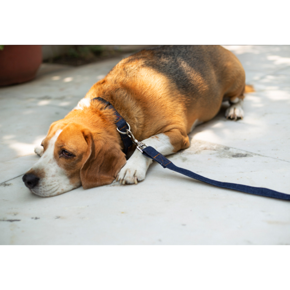 Mutt of Course Denim Dog Leash(Dark Blue)