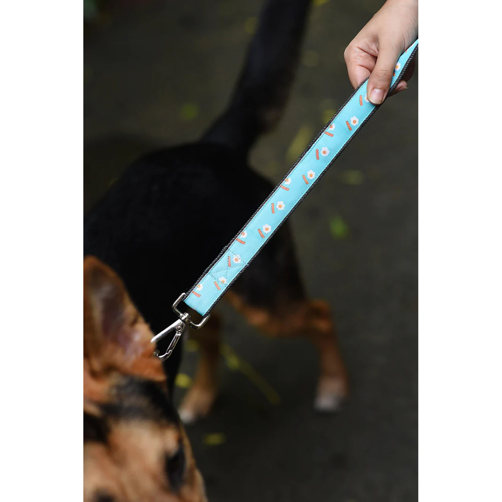 Mutt of Course Egg & Bacon Leash for Dogs