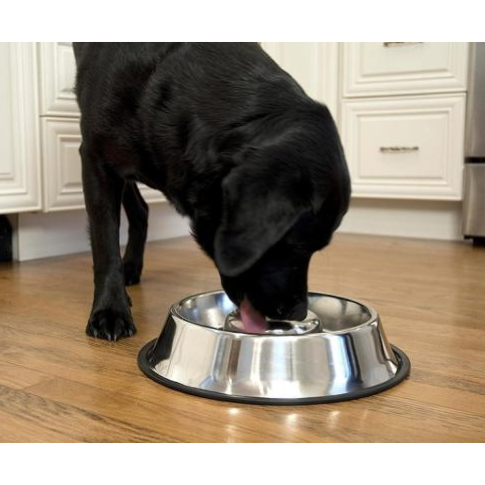 Pets Empire Slow Feeding Bowl for Dogs