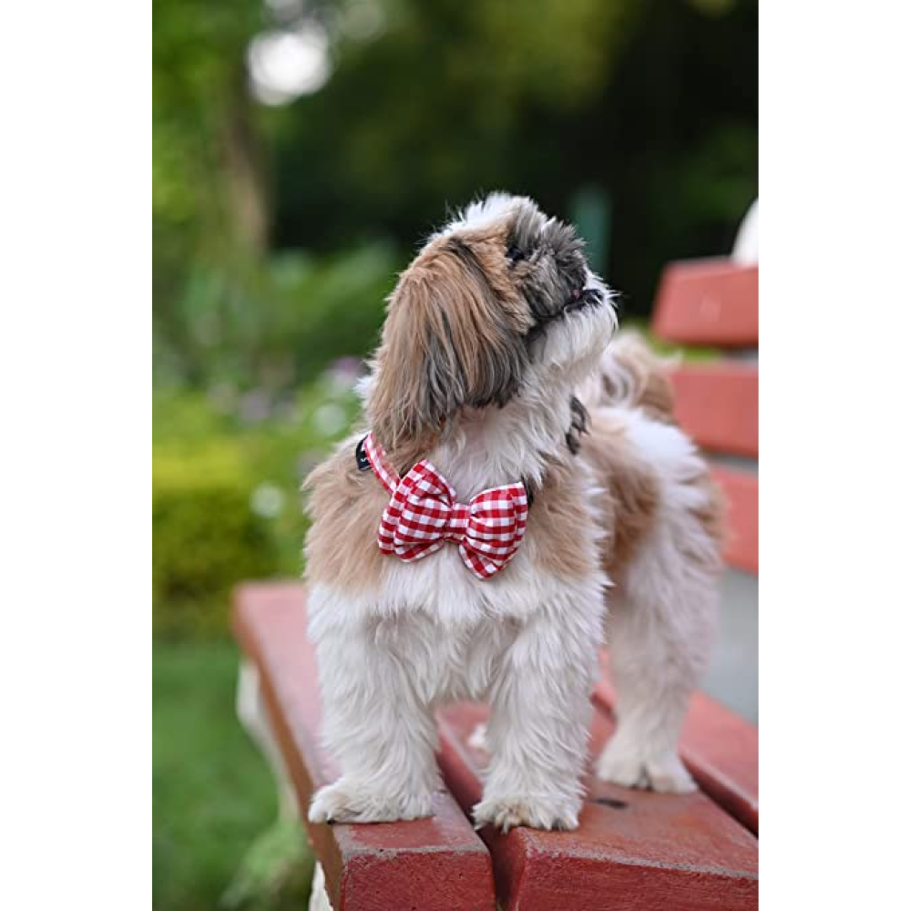 Mutt of Course Checkmate Red Bow Tie For Dogs