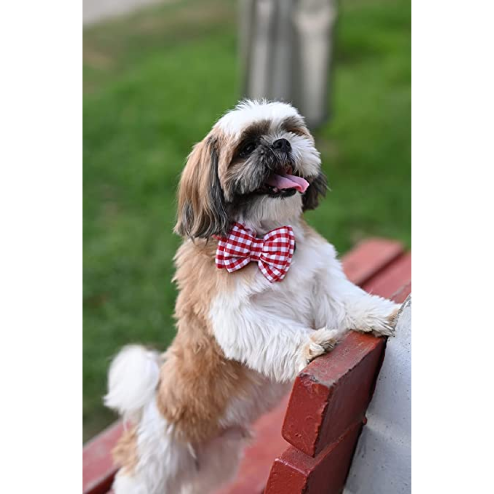 Mutt of Course Checkmate Red Bow Tie For Dogs