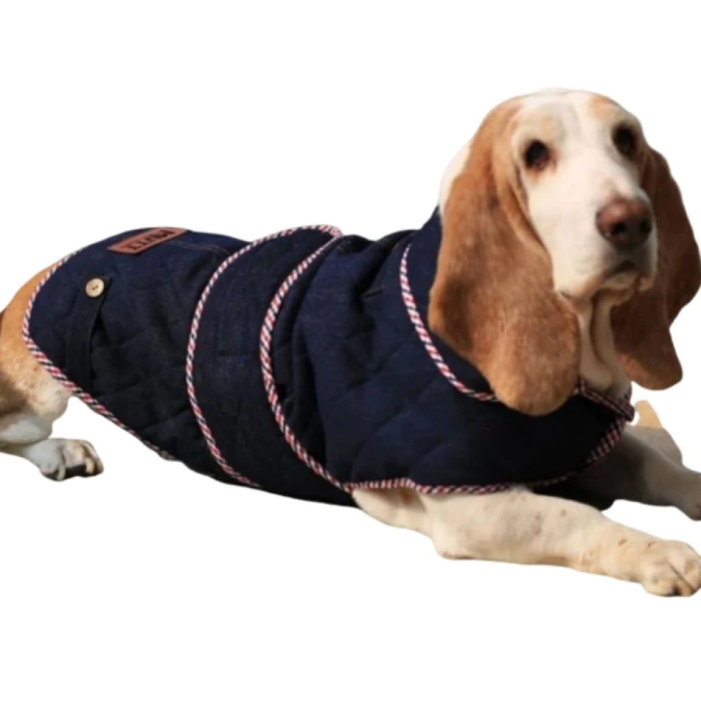 Mutt of Course Dark Denim Jacket For Dogs
