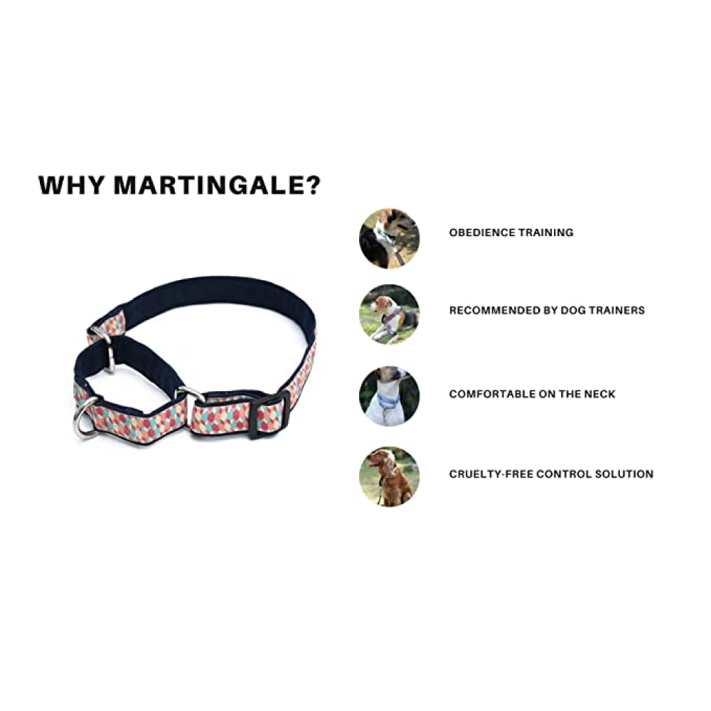 Mutt of Course Denim Martingale Collar for Dogs (Light Blue)