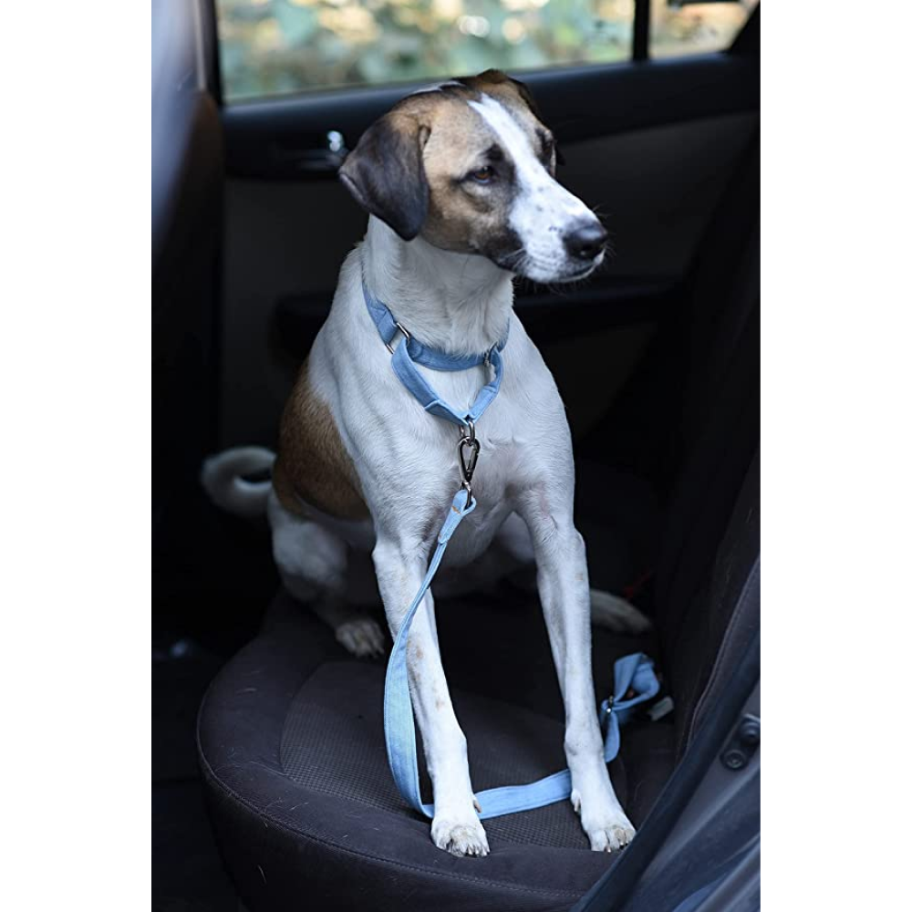 Mutt of Course Denim Martingale Collar for Dogs (Light Blue)