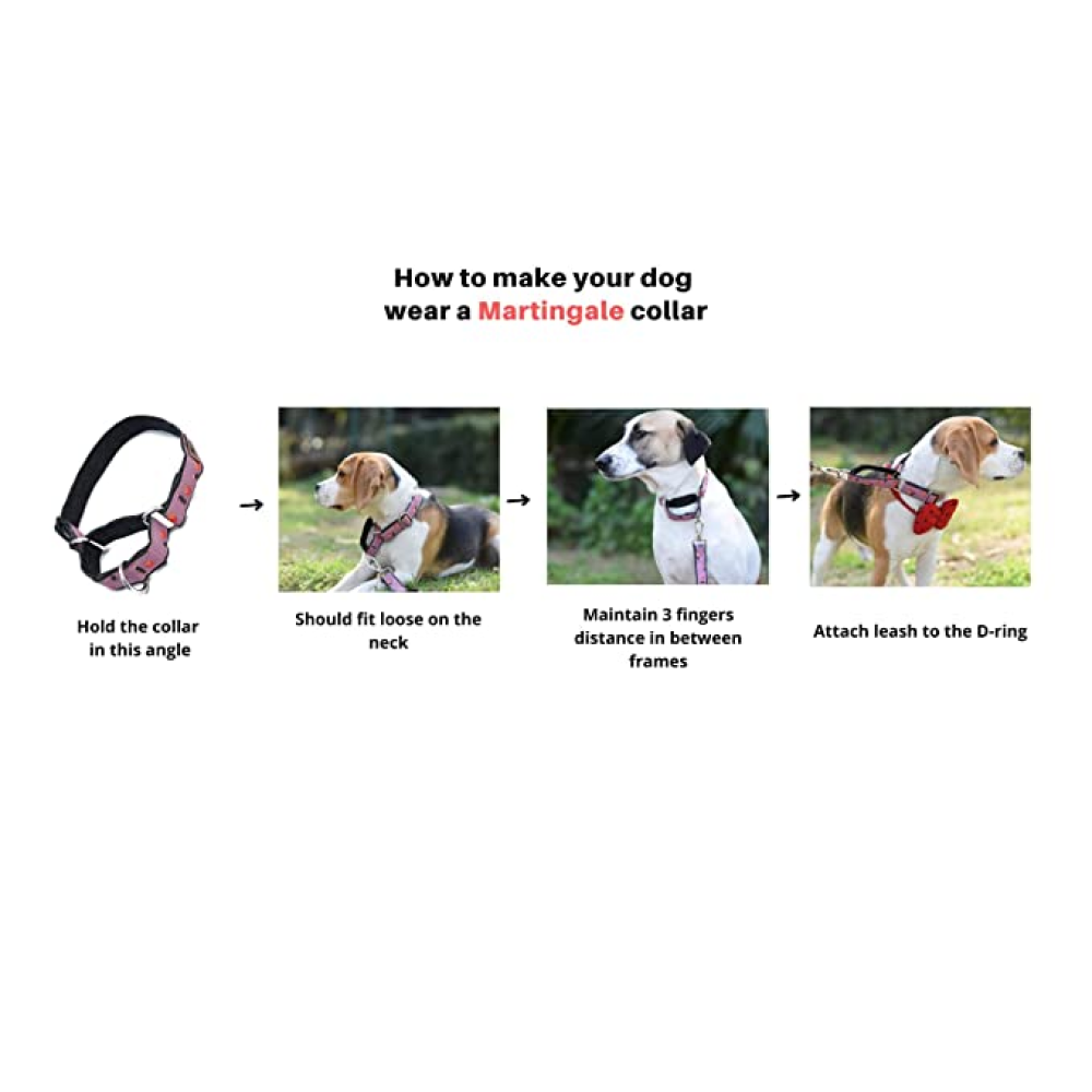 Mutt of Course Denim Martingale Collar for Dogs (Light Blue)