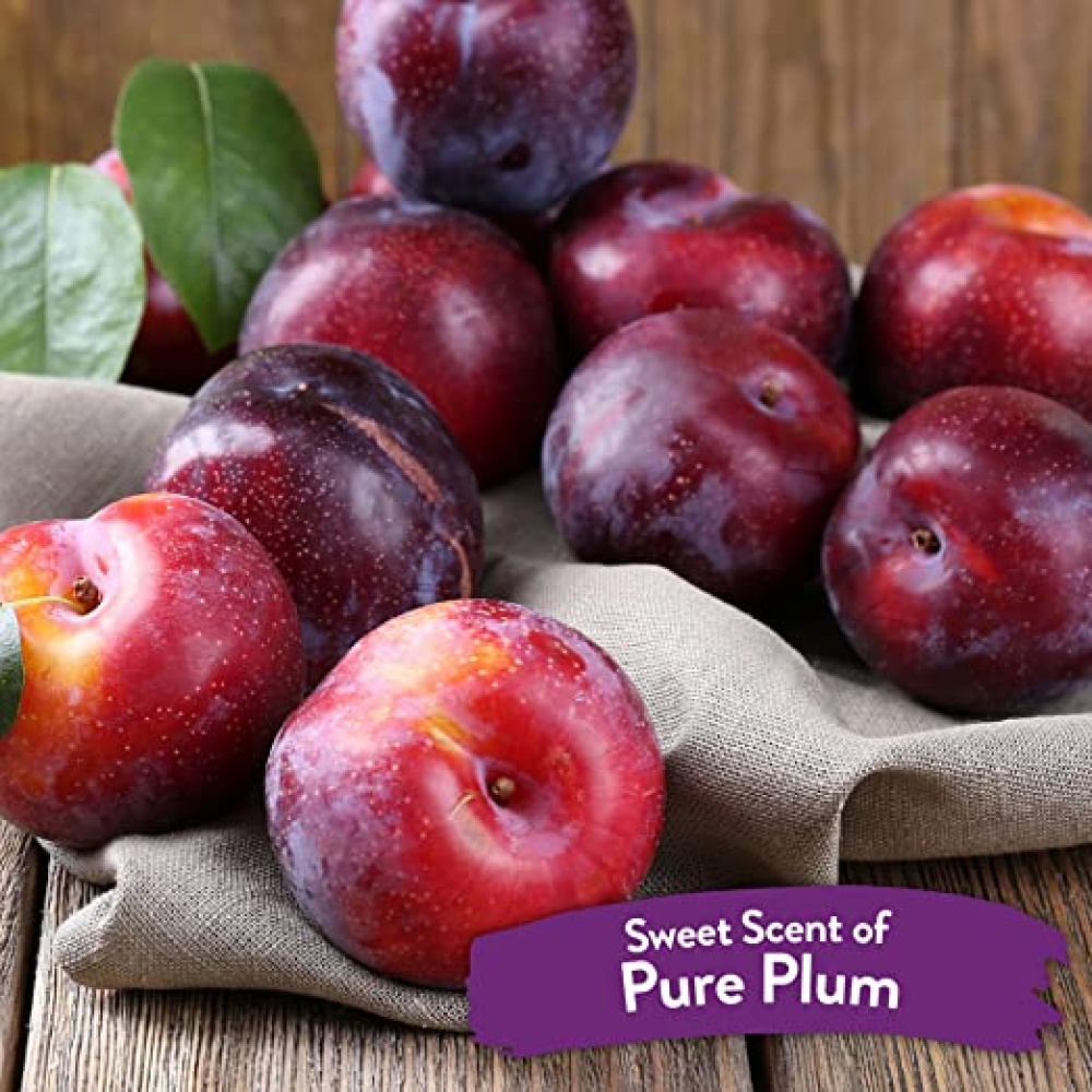 Tropiclean Pure Plum Deodorizing Pet Spray for Pets