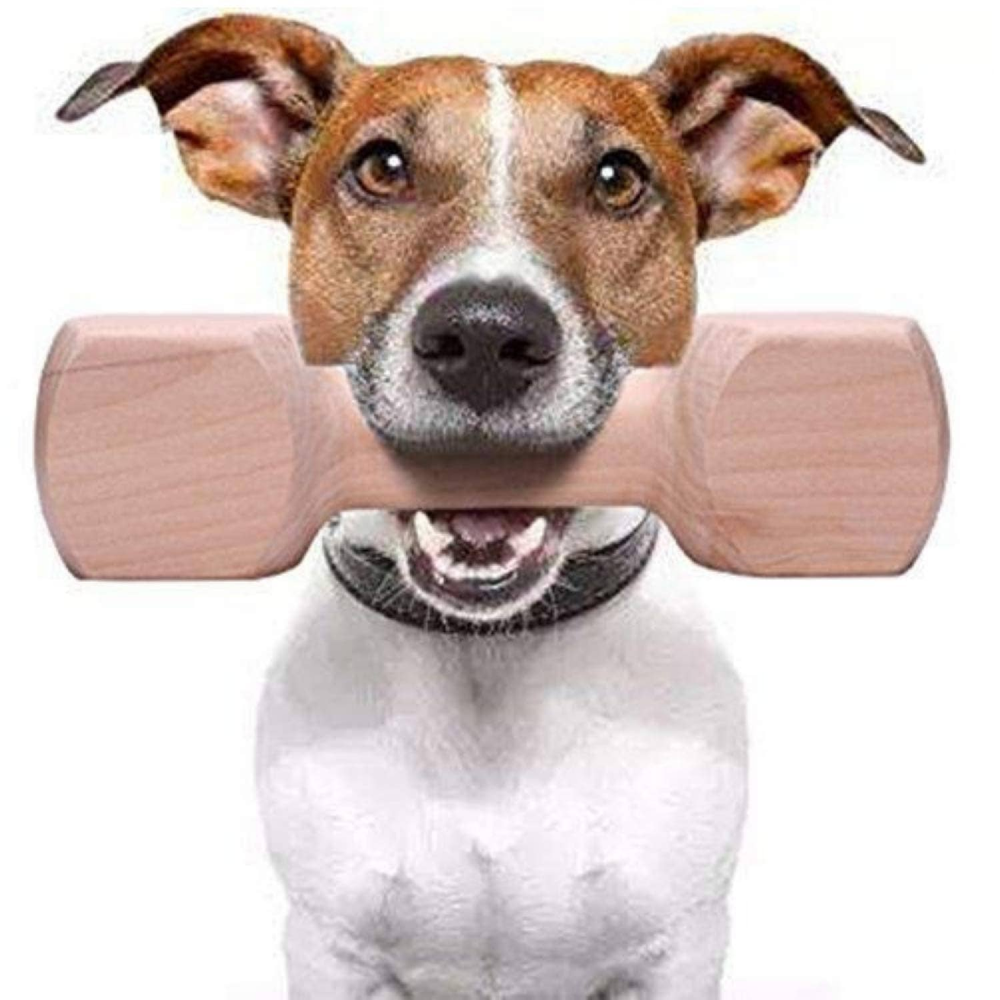 Hiputee Chew Wood Toy for Dogs