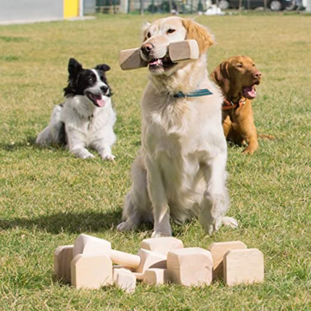 Hiputee Chew Wood Toy for Dogs