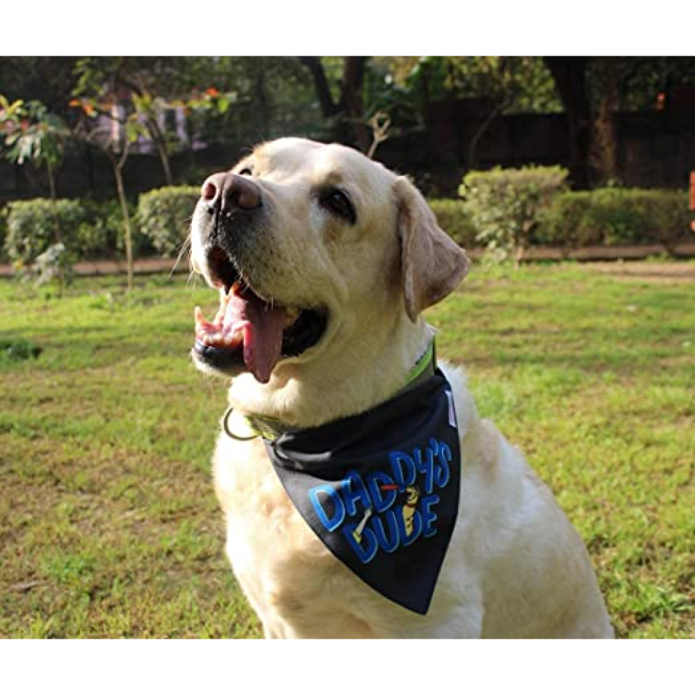 Lana Paws Daddys Dude Adjustable Dog Bandana/Scarf