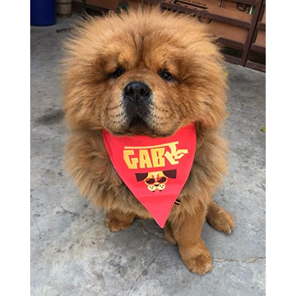 Lana Paws Gabru Adjustable Dog Bandana/ Scarf (Red)