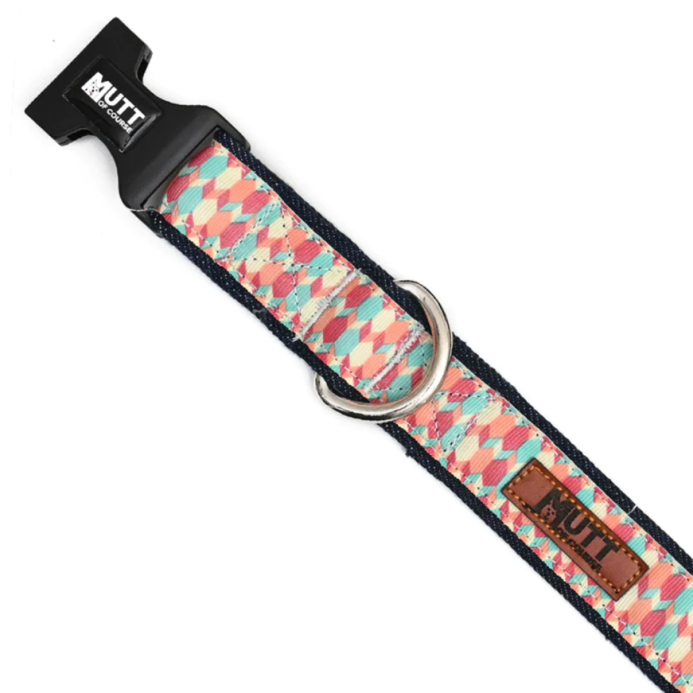 Mutt of Course Candy Barr Collar for Dogs