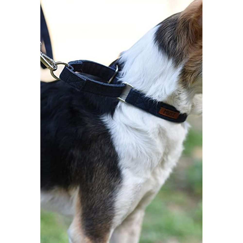 Mutt of Course Denim Dog Martingale Collar(Dark Blue)