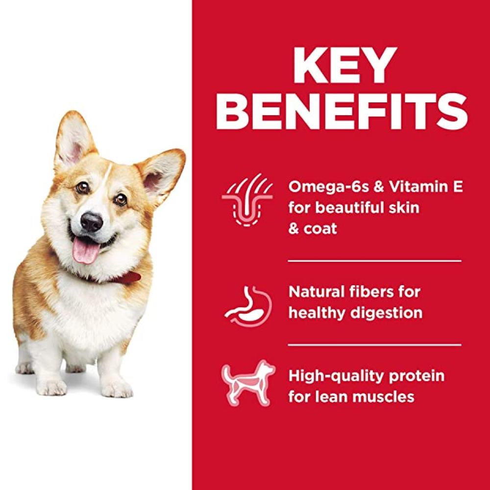 Hills Science Diet Chicken & Barley Recipe Small Bites Adult Dry Dog Food
