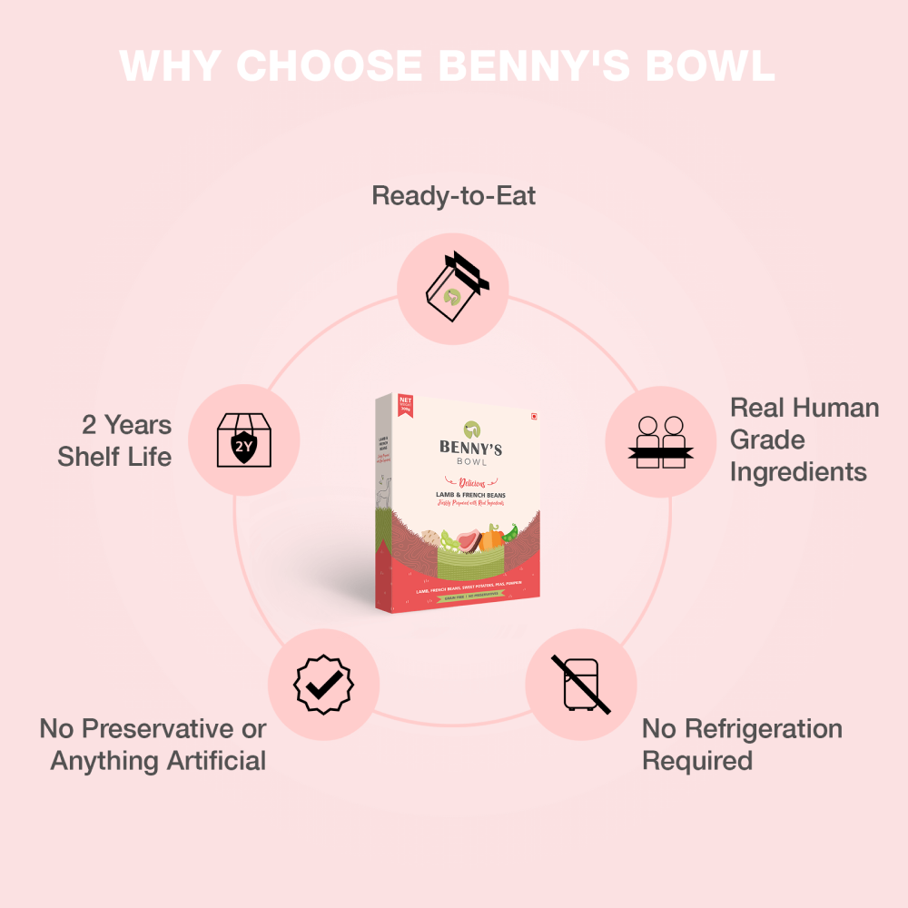 Bennys Bowl Lamb and French Beans Fresh Food for Dogs