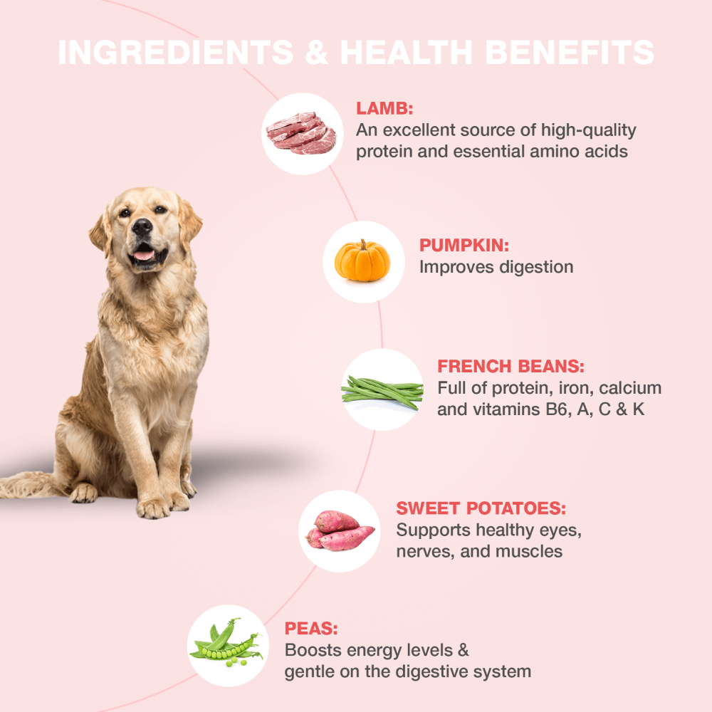 Bennys Bowl Lamb and French Beans Fresh Food for Dogs