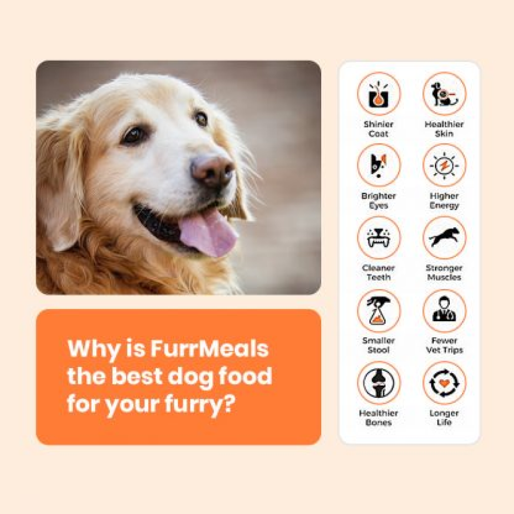FurrMeals Gluten Free Lamb & Brown Rice Ready-to-Eat Dog Wet Food