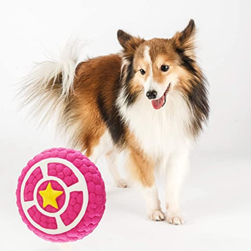Smarty Pet Latex Pie Shaped Toy for Dogs