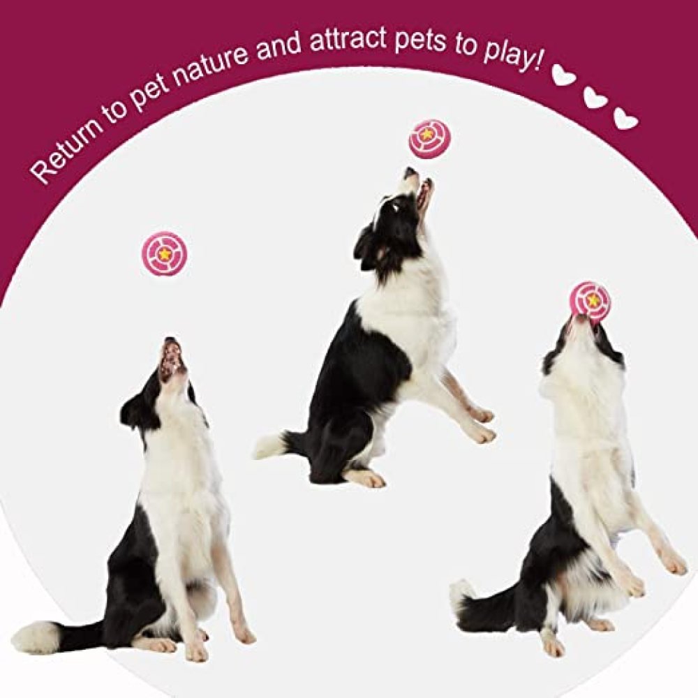 Smarty Pet Latex Pie Shaped Toy for Dogs