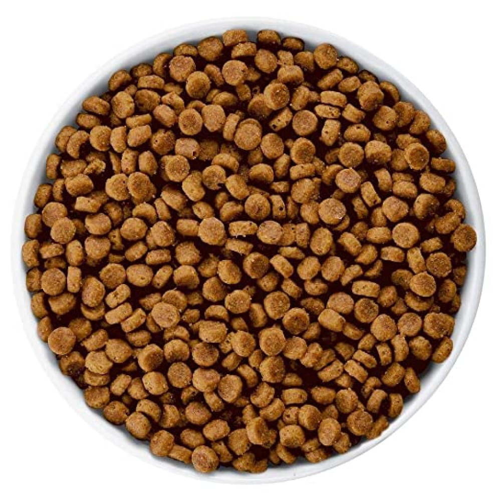 Hills Prescription Diet Canine Digestive Care Adult Dog Dry Food