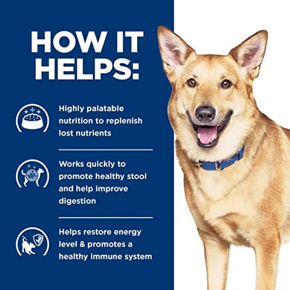 Hills Prescription Diet Canine Digestive Care Adult Dog Dry Food