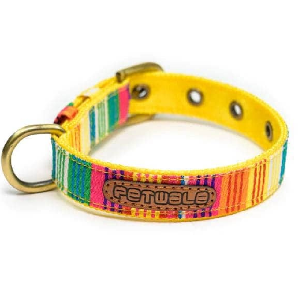 PetWale Nylon Belt Collar for Dogs (Colourful Stripes)