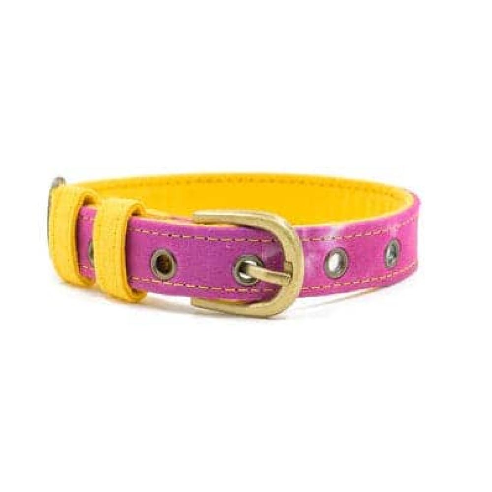 PetWale Fabric Belt Collar for Dogs (Tie Dye)