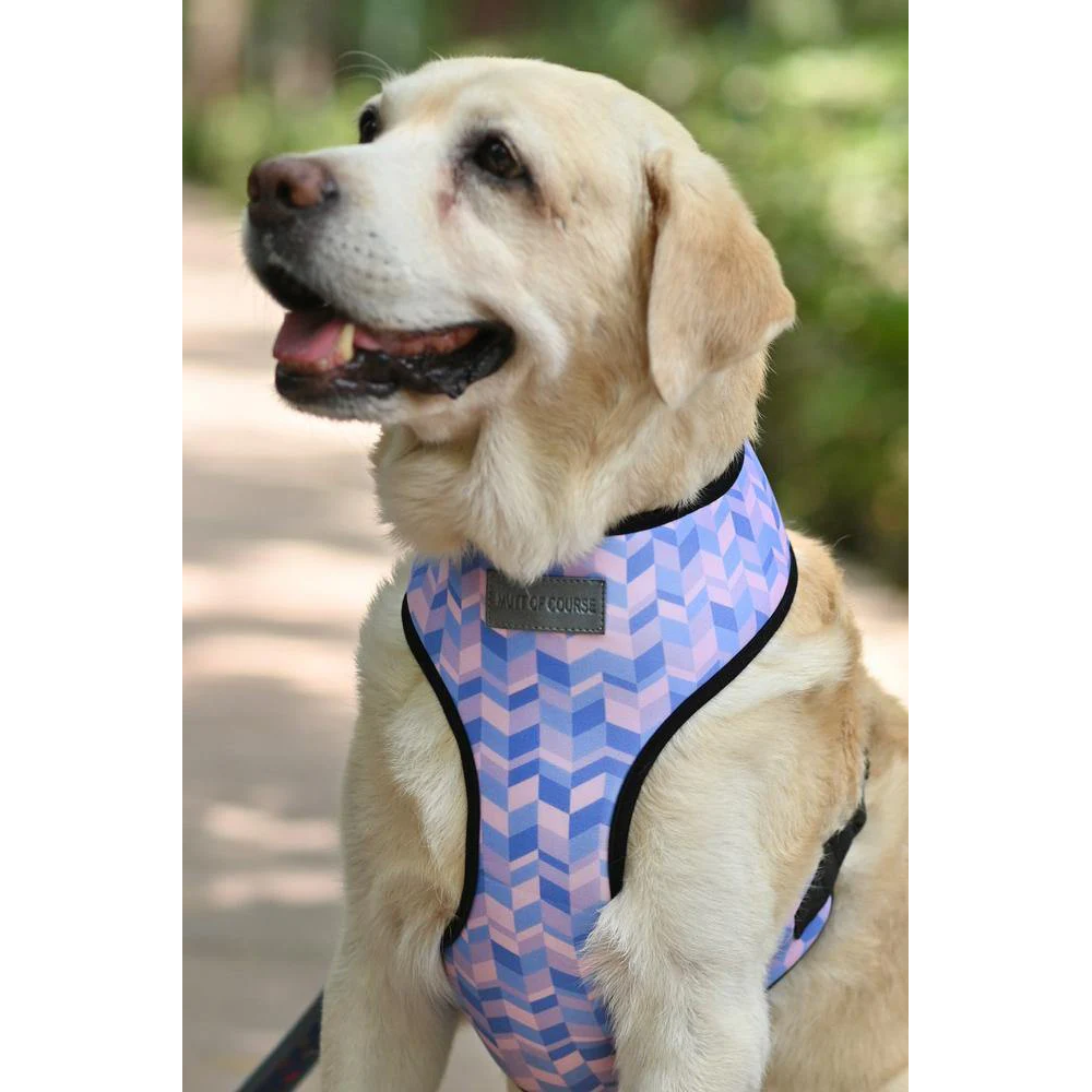 Mutt of Course Light Geometrical Harness for Dogs