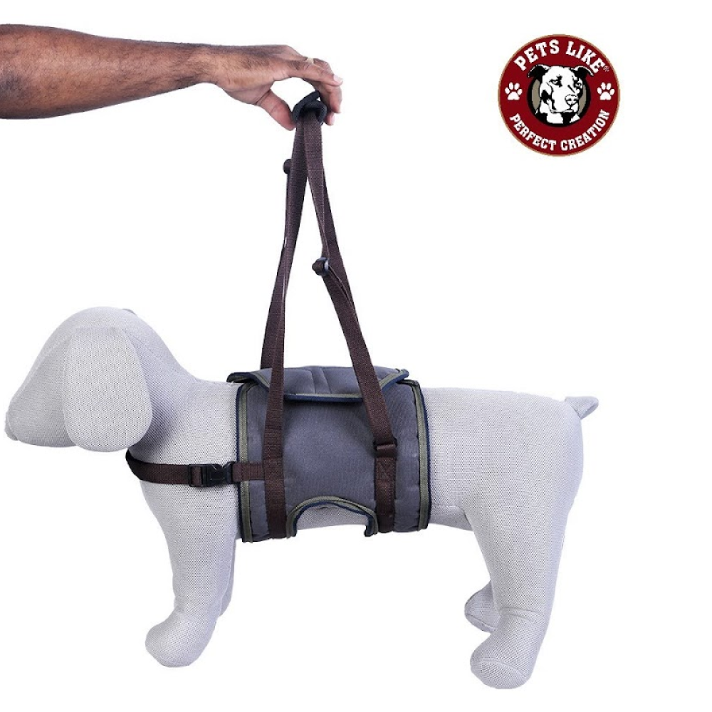 Pets Like Mobility & Rehabilitation Support for Dogs (Assorted)