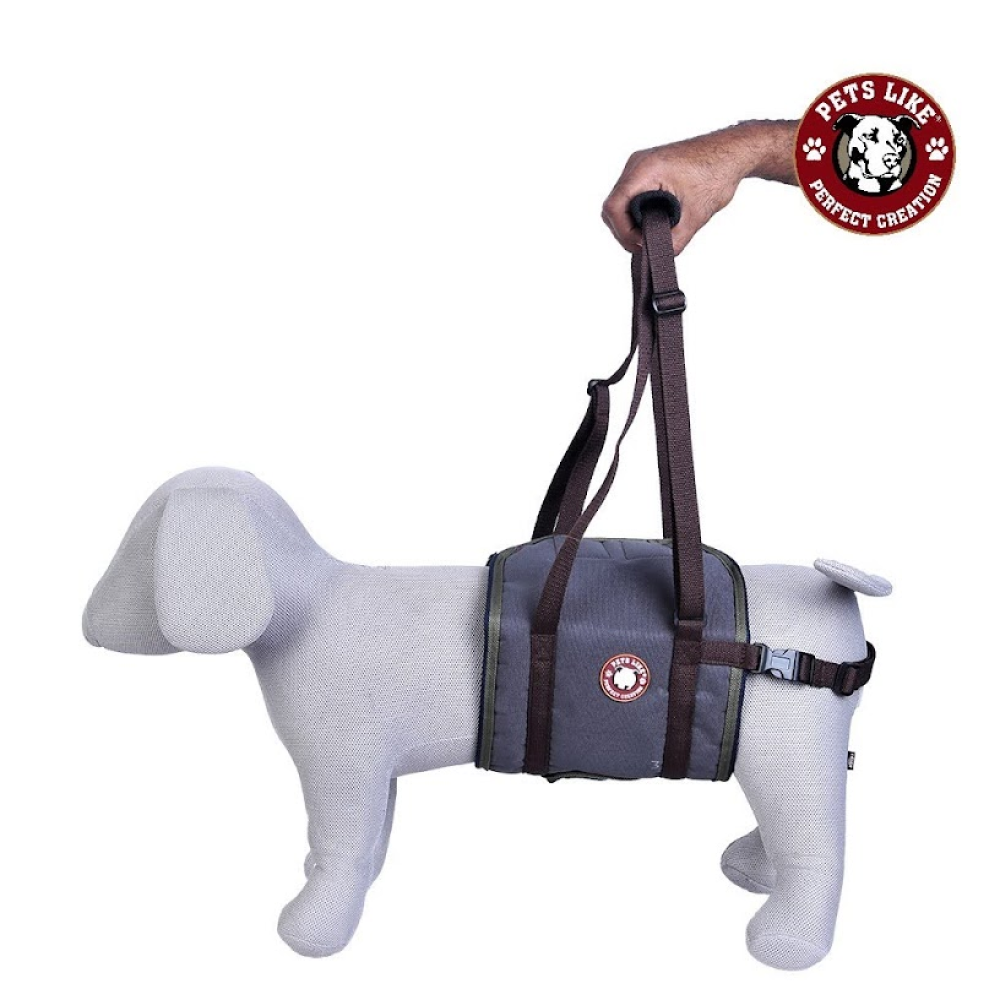 Pets Like Mobility & Rehabilitation Support for Dogs (Assorted)