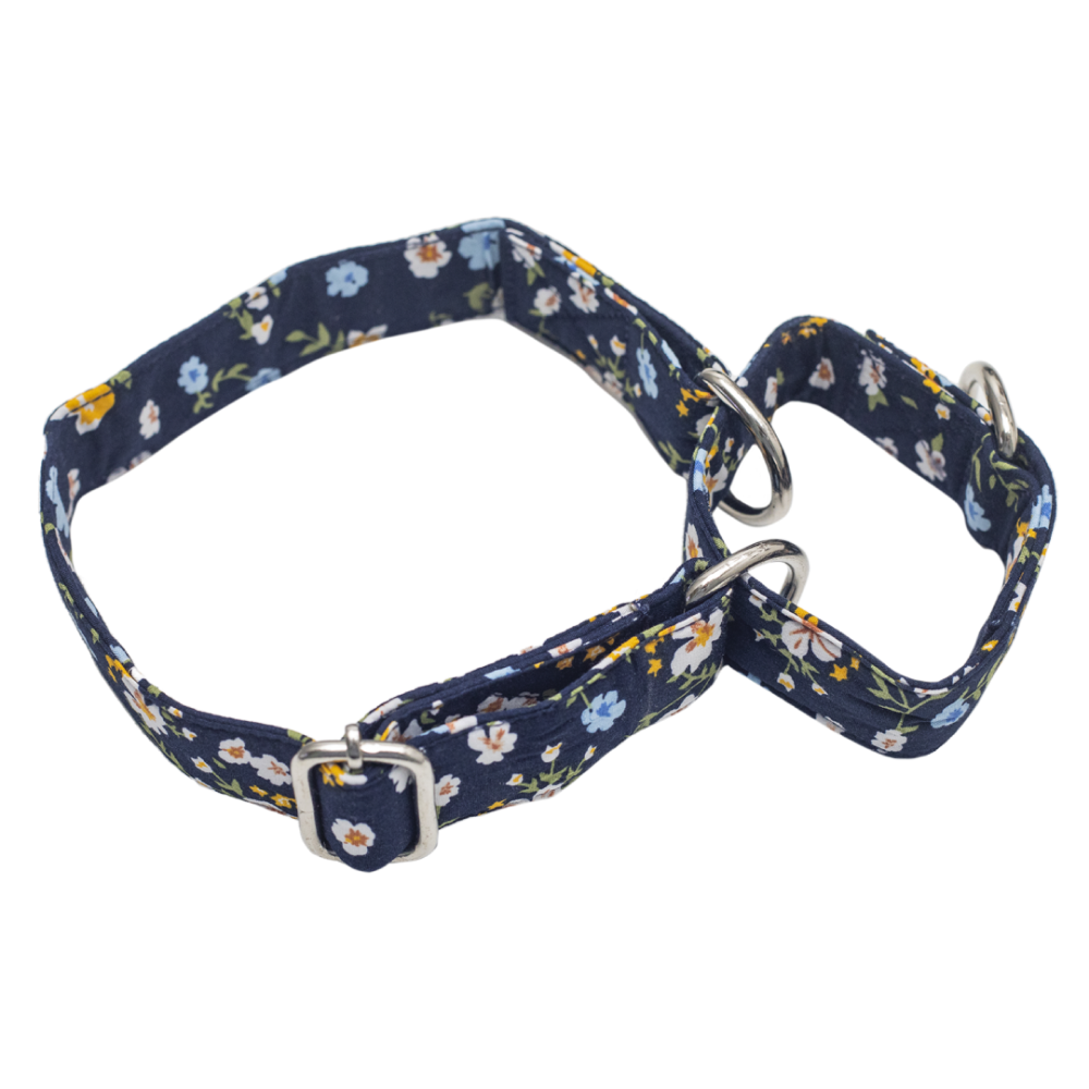 Pet And Parents (Namaste Pets) Blue Garden Martingale Collar for Dogs