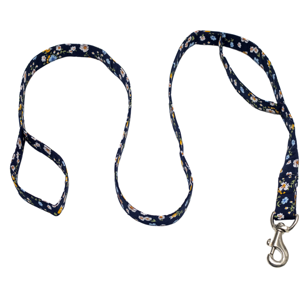 Pet And Parents (Namaste Pets) Blue Garden Leash for Dogs