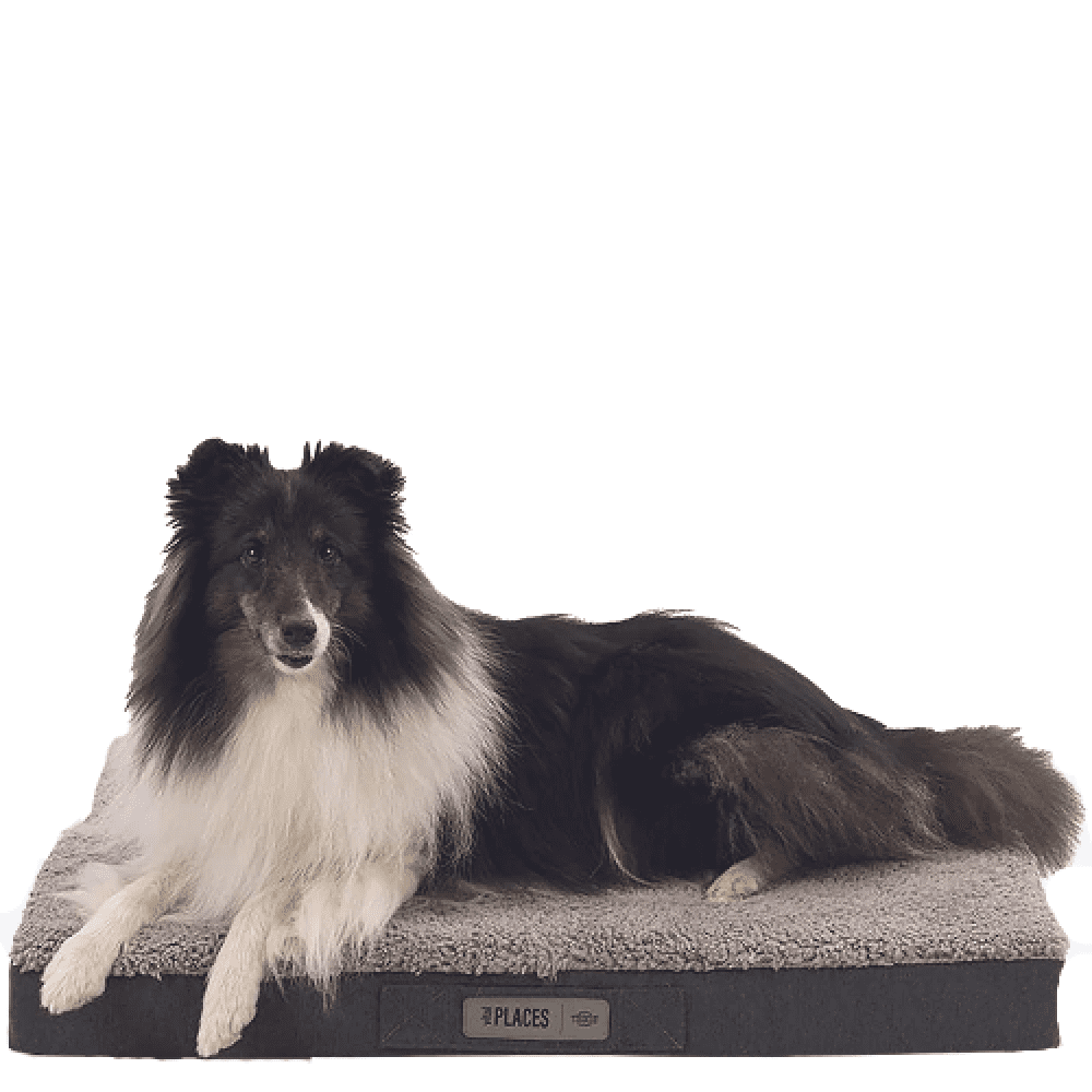 Trixie Bendson Vital Orthopaedic Mattress (Grey)