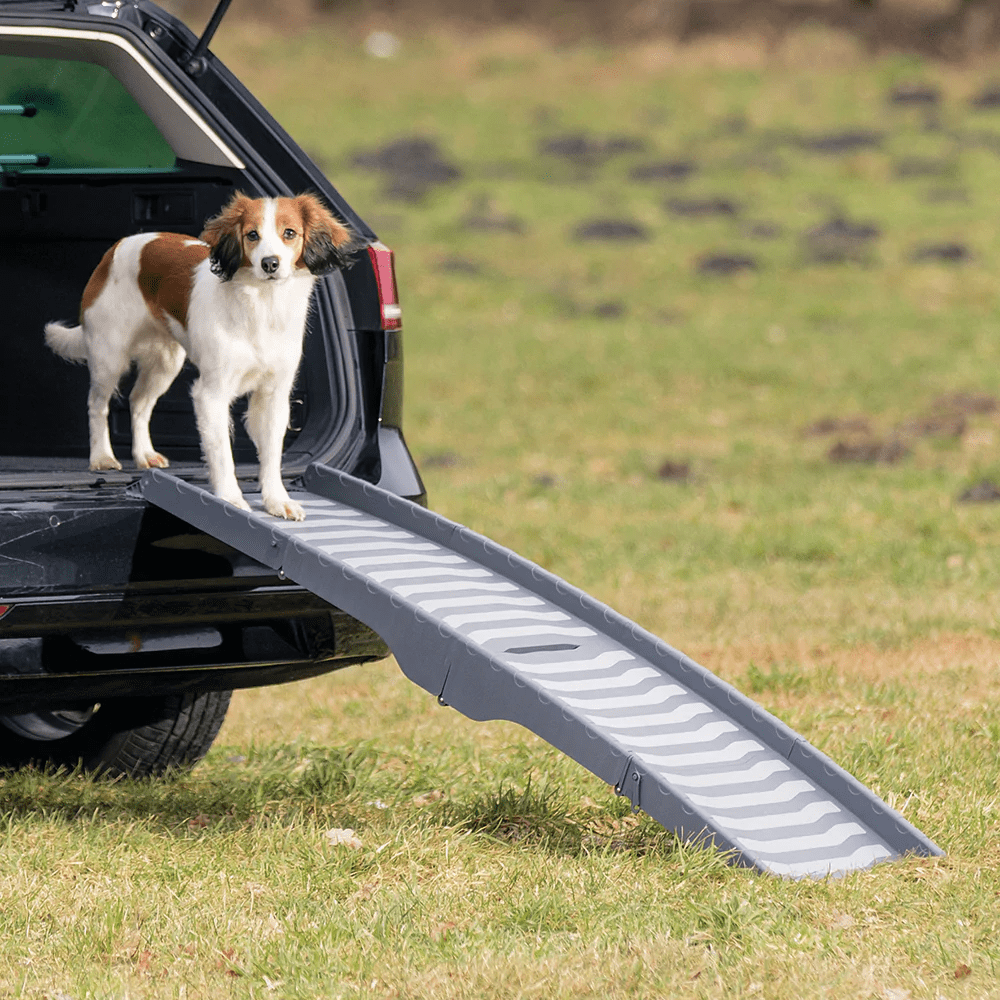 Trixie 3-Fold Ramp for Dogs (Grey)