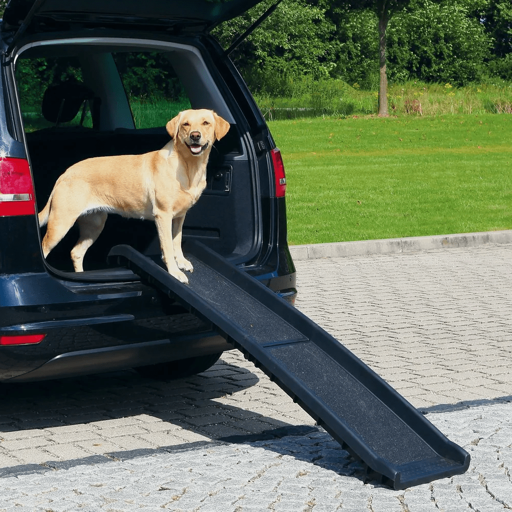 Trixie Petwalk Folding Ramp for Dogs (Black)
