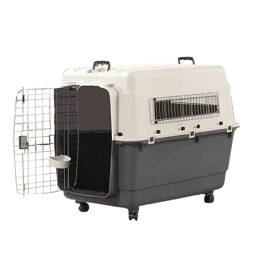 Savic Belgium Andes 7 Pet Carrier for Pets (Ivory)