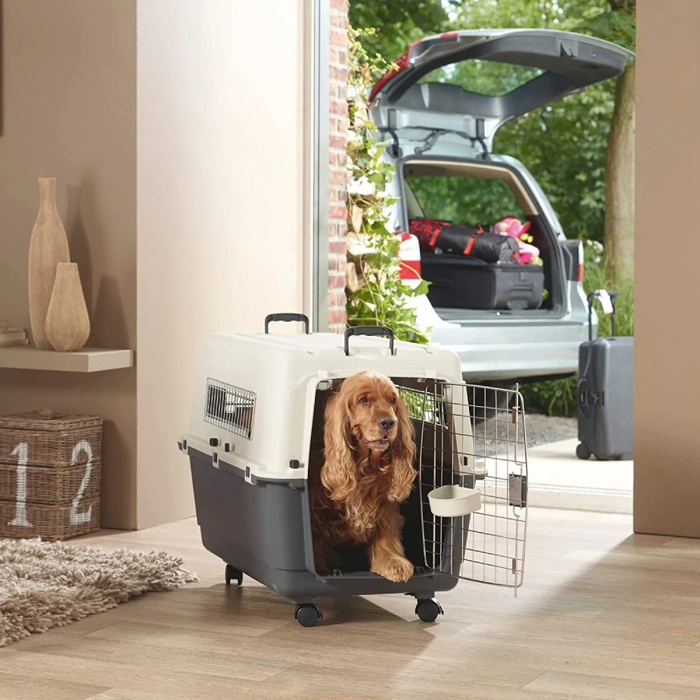Savic Andes 6 Carrier for Pets (Ivory)