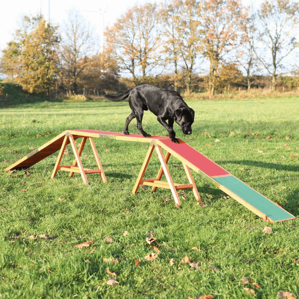 Trixie Agility Dogwalk for Dogs