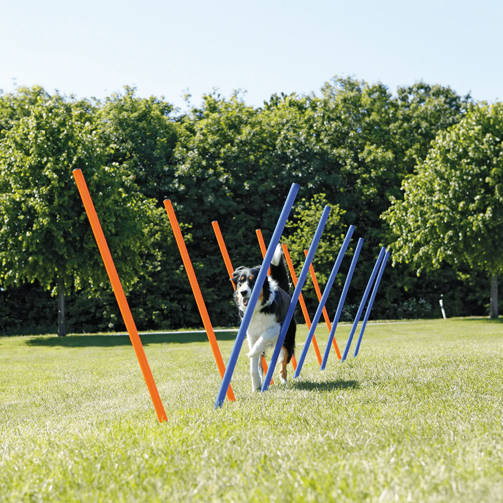 Trixie Dog Agility Slalom for Dogs