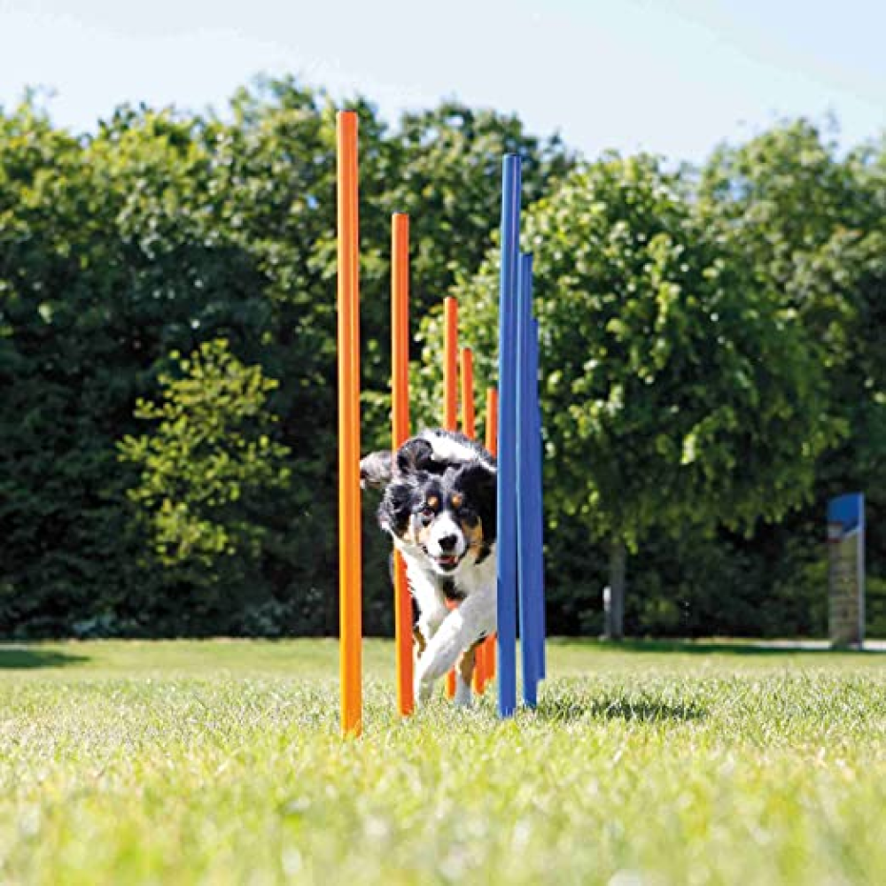 Trixie Dog Agility Slalom for Dogs
