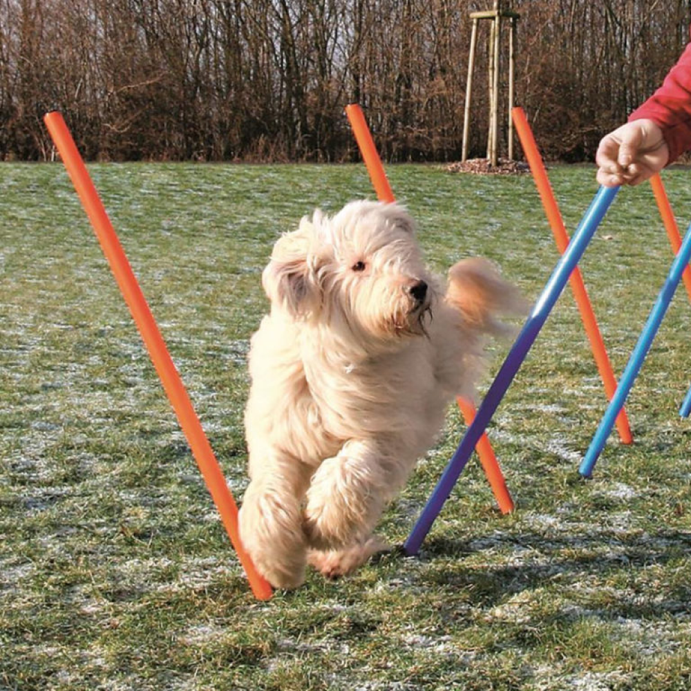 Trixie Dog Agility Slalom for Dogs