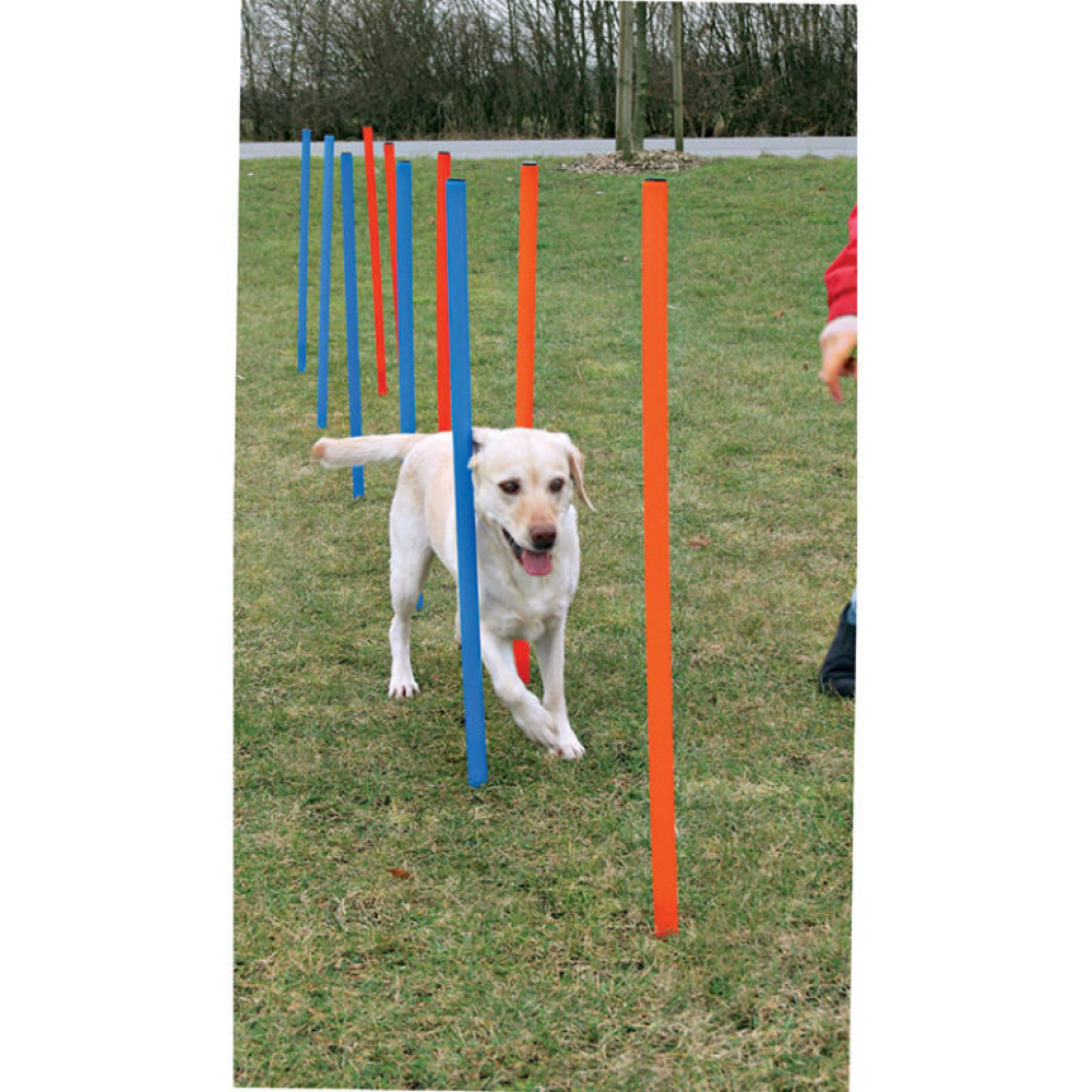 Trixie Dog Agility Slalom for Dogs