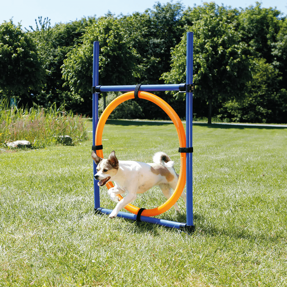 Trixie Dog Agility Ring for Dogs (Orange/Blue)