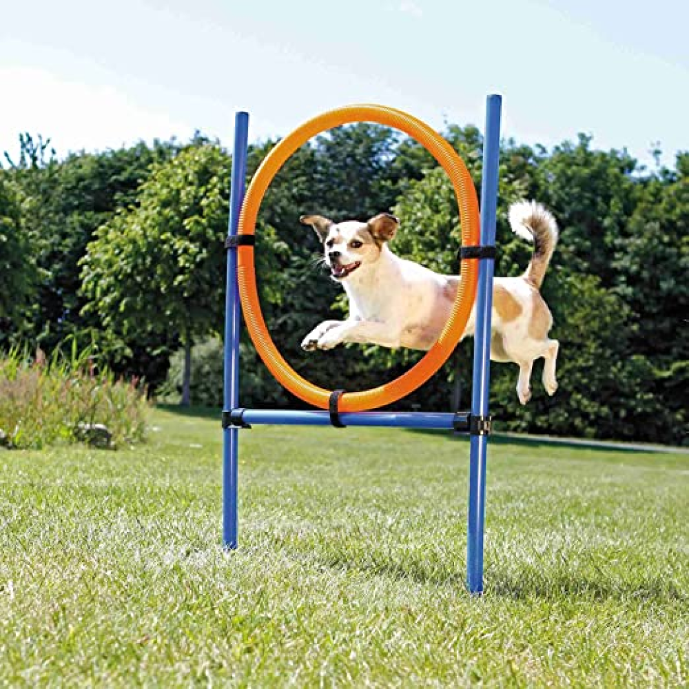 Trixie Dog Agility Ring for Dogs (Orange/Blue)