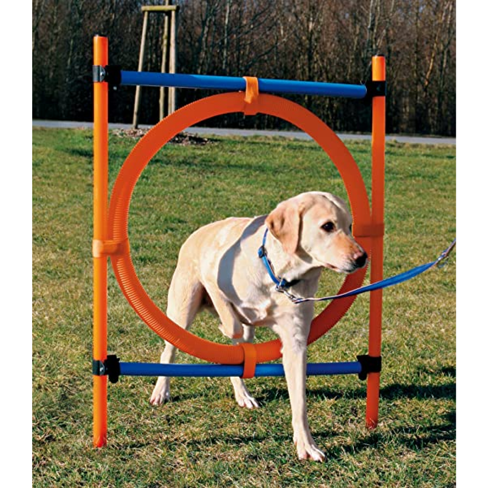 Trixie Dog Agility Ring for Dogs (Orange/Blue)