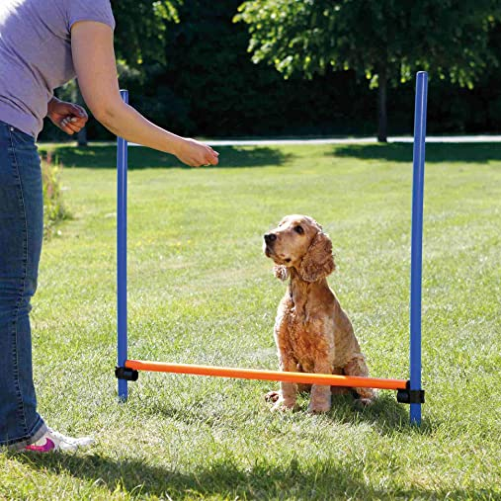 Trixie Dog Agility Hurdle (Blue/Orange)