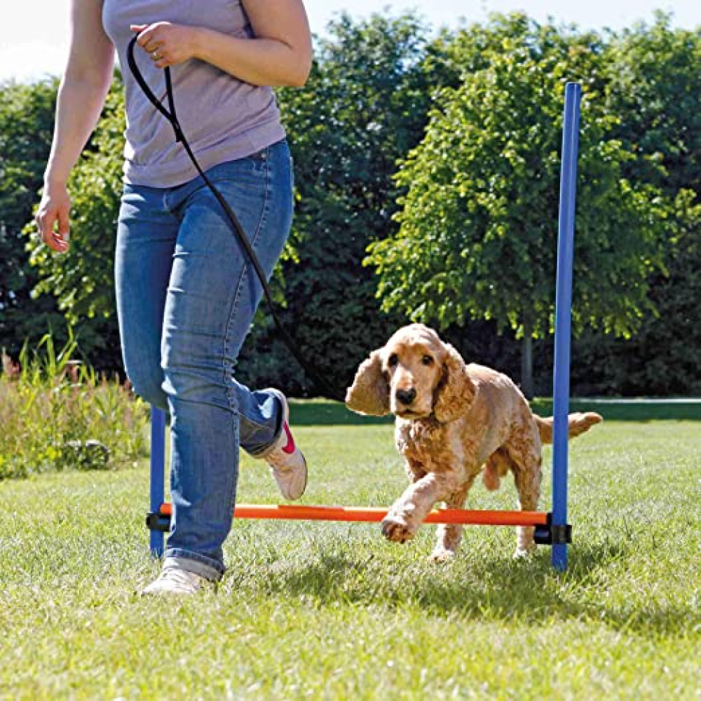Trixie Dog Agility Hurdle (Blue/Orange)