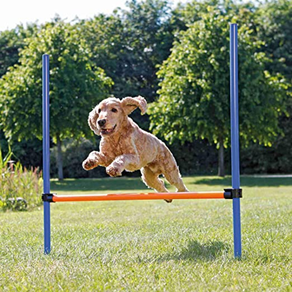 Trixie Dog Agility Hurdle (Blue/Orange)